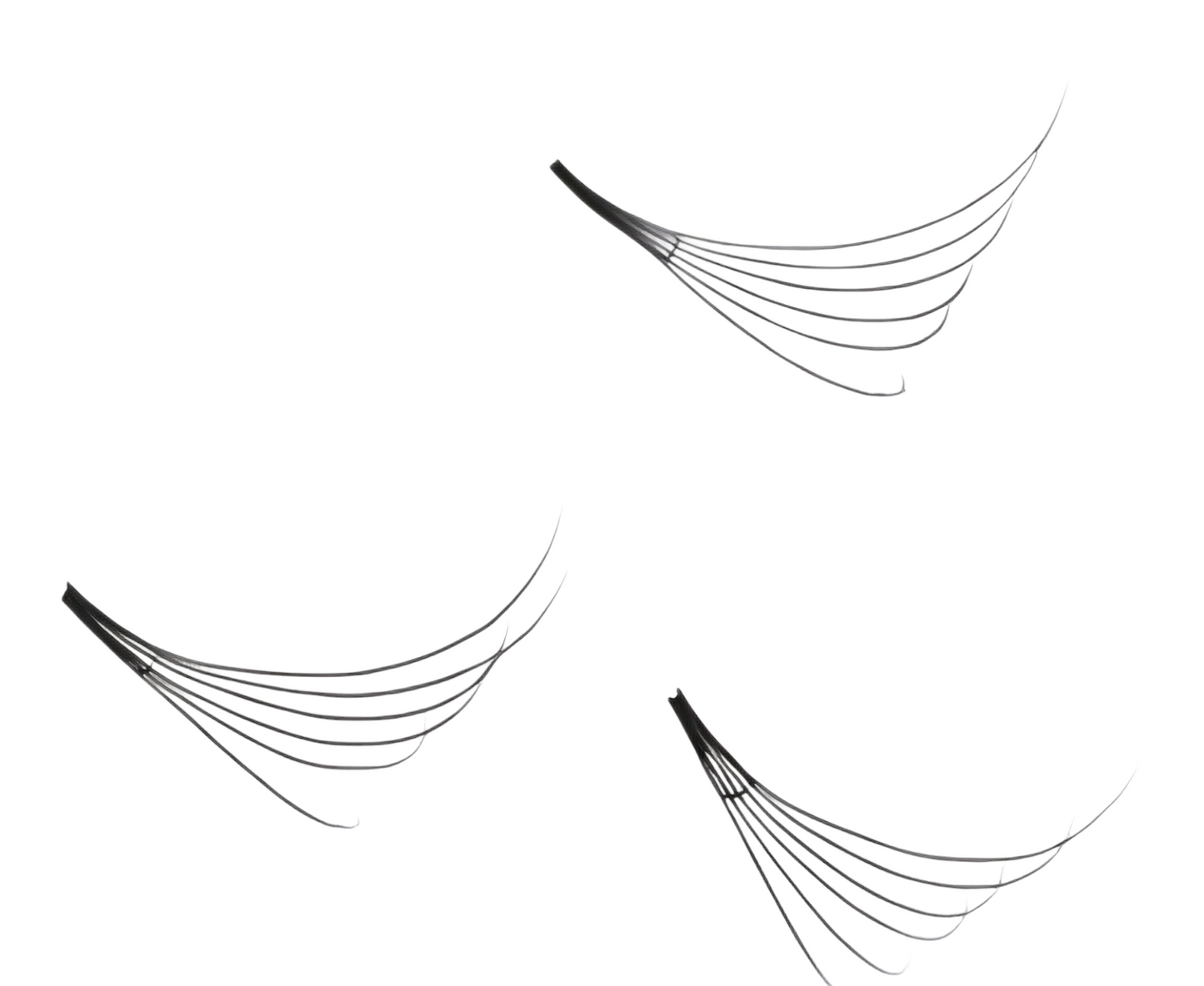 6D ProMade Loose Fans